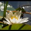 20090705_076_raw